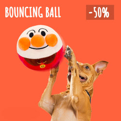 PawMotion – Stundenlanges Spielen ohne Langeweile