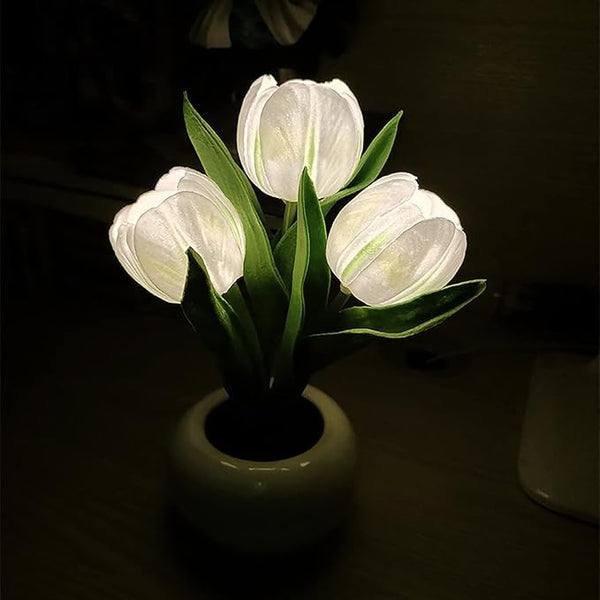 BloomTulip – Eine Verschmelzung von Romantik und Licht!