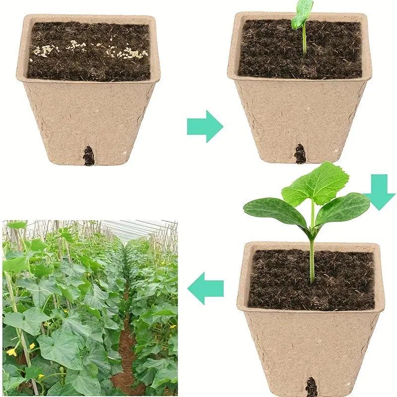 EcoWuchs Bio-Anzuchttöpfe | 100 Stück | 5,99 cm | Biologisch abbaubar & mit Drainagelöchern | Für Gemüse, Kräuter & Blumen