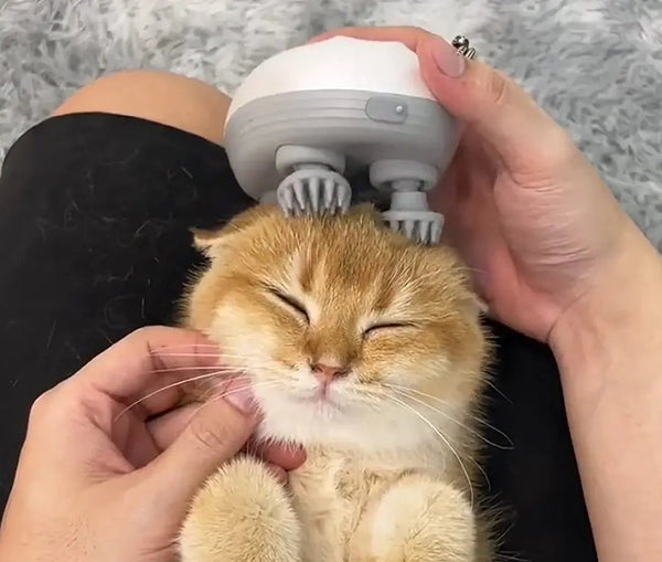 PurrEase – Die Entspannung, die Ihre Katze lieben wird!