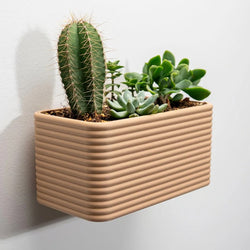 GreenWall – Dein persönlicher Wandgarten~