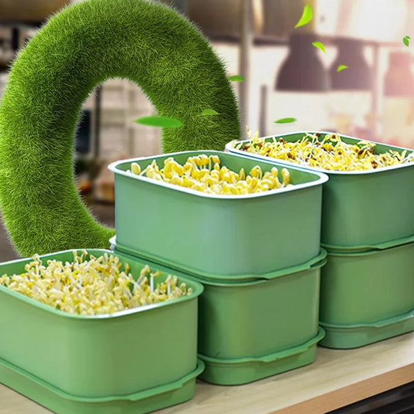 1+1 GRATIS | GreenBox – Ziehe täglich deine eigenen frischen Sprossen groß