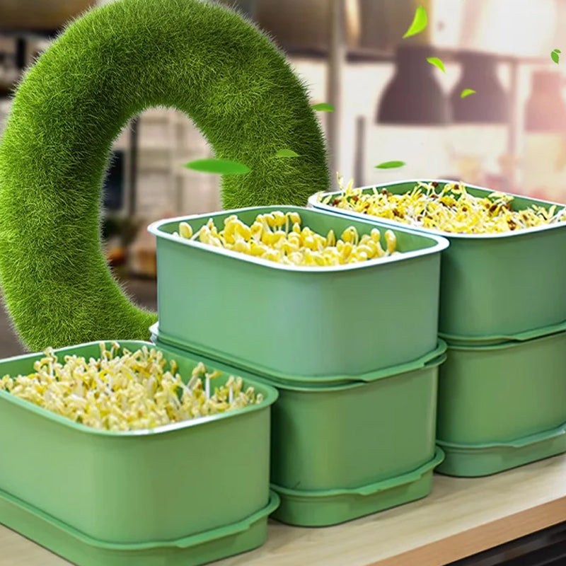 1+1 GRATIS | GreenBox – Ziehe täglich deine eigenen frischen Sprossen groß