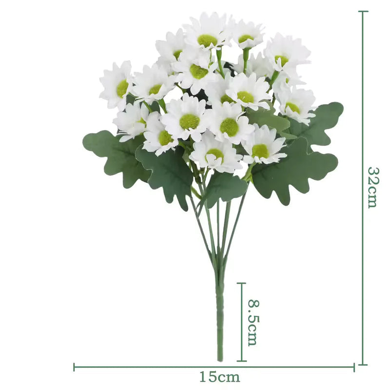 1+1 GRATIS | EverDaisies – Zeitlose Strahlkraft, die bleibt!