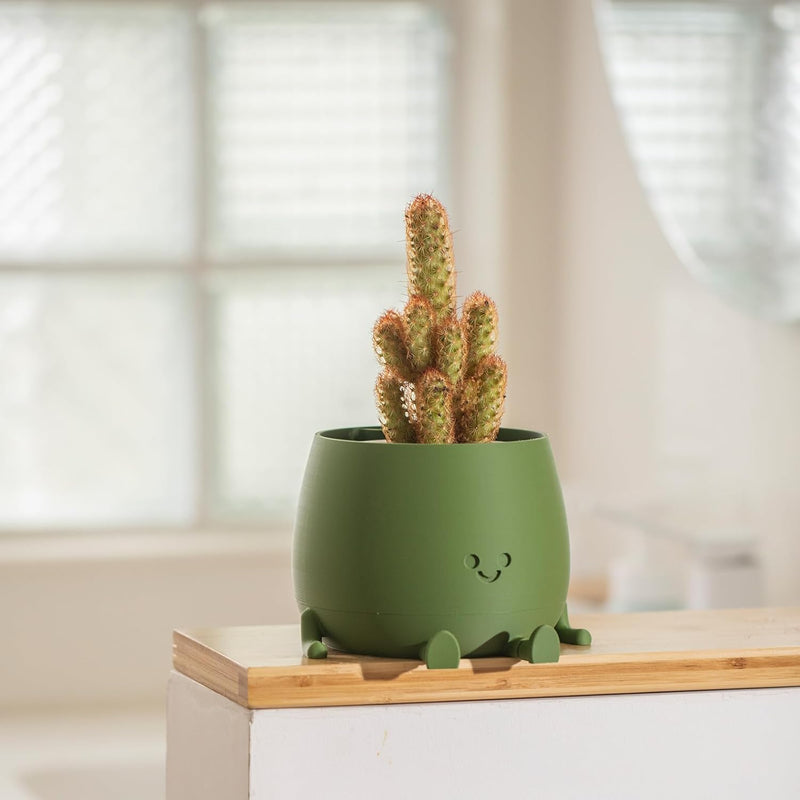 BloomBuddy – Glückliche Pflanzen, fröhliches Zuhause