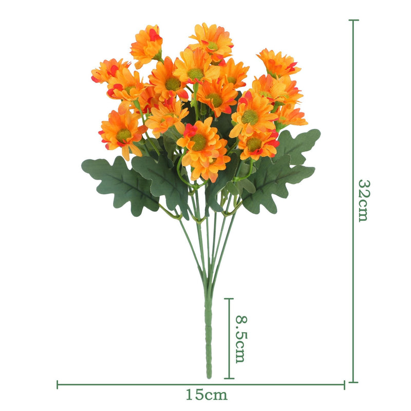 2+1 GRATIS | BloomoraSunset – Zeitlose herbstliche Pracht