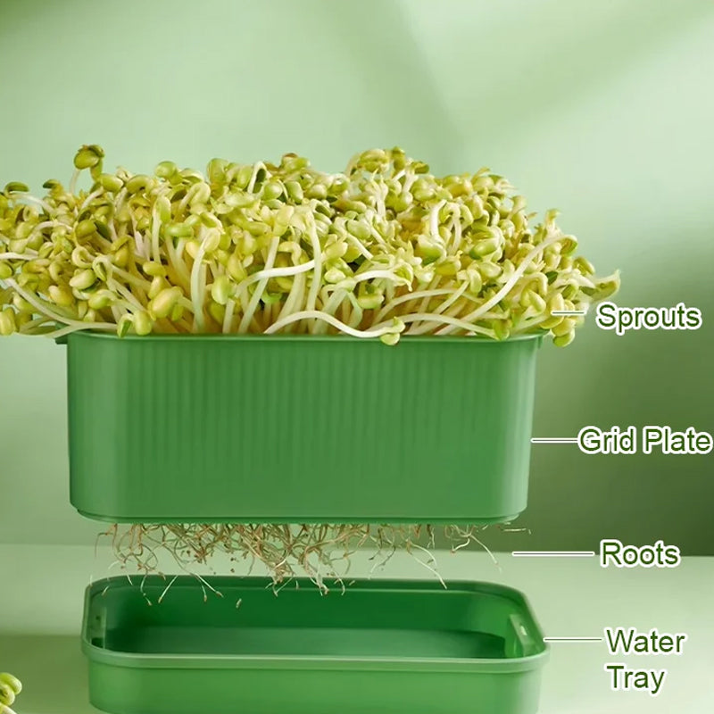 1+1 GRATIS | GreenBox – Ziehe täglich deine eigenen frischen Sprossen groß