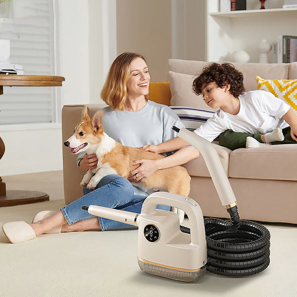 SteamPro – Beseitigen Sie Keime in Ihrem Zuhause mit 100°C reinem Dampf