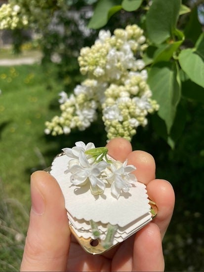 FloraKeep – Halten Sie Ihre geliebten Blumen für immer frisch!