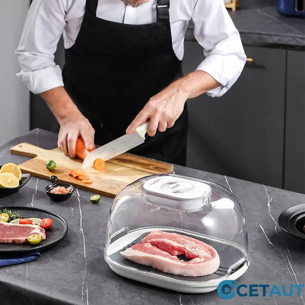 FreshThaw Pro – Auftauen von Fleisch in Minuten, nicht Stunden!