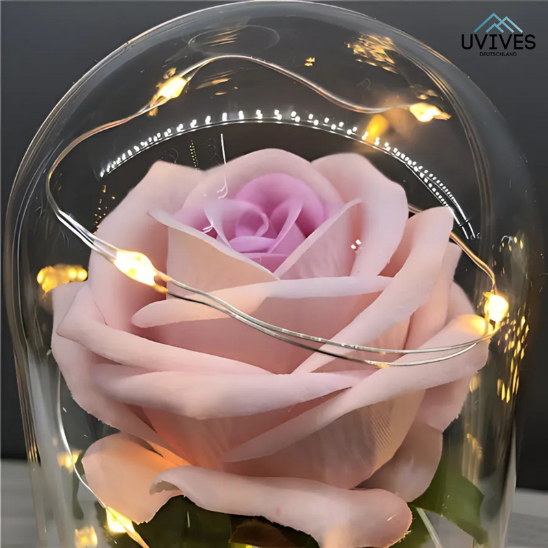 LumiRose Eternal – Eine Liebe, die ewig hält!