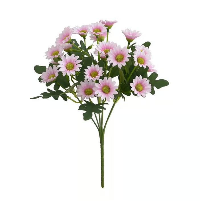 AutumnBloom – Dauerhafte Herbstschönheit ganz ohne Pflege!