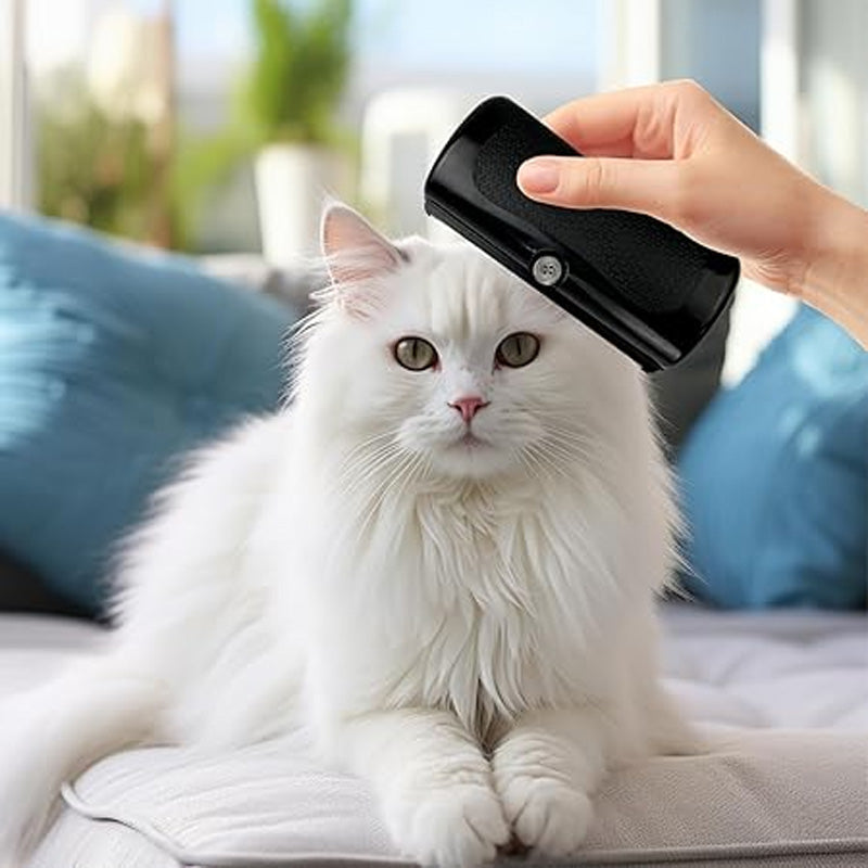 FurMaster – Für ein sauberes, glänzendes und fröhliches Haustier