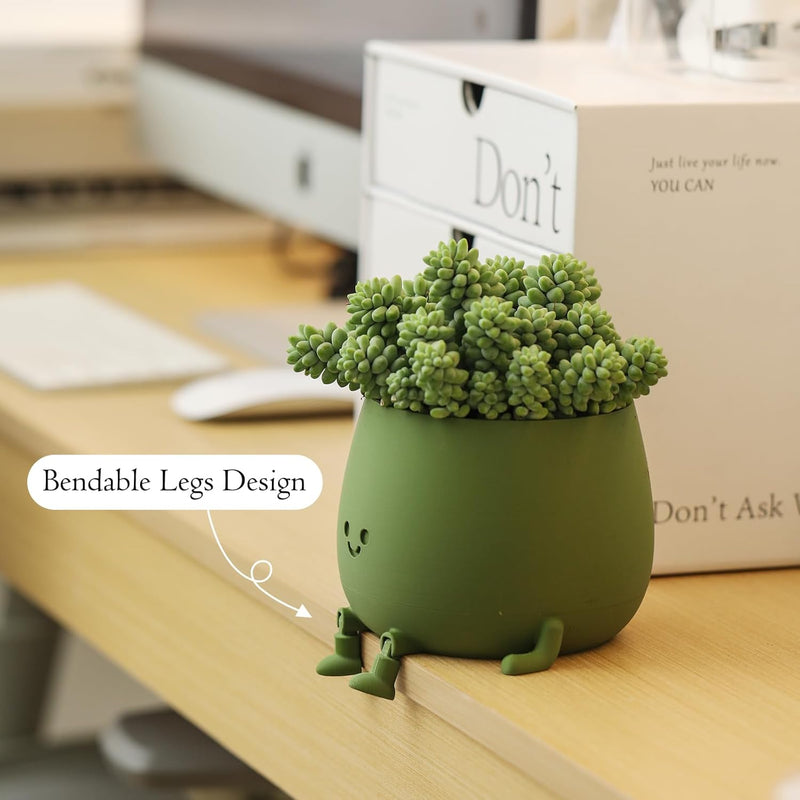 BloomBuddy – Glückliche Pflanzen, fröhliches Zuhause