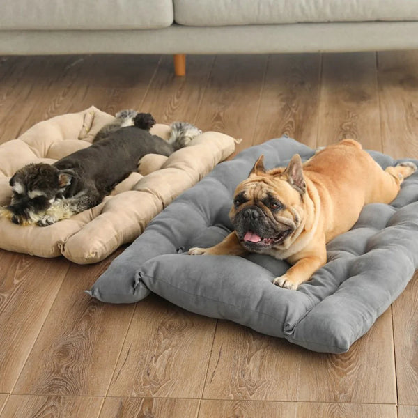 WarmDog 3-in-1 Bett – Gemütlicher Komfort und Glück für Ihr Haustier!