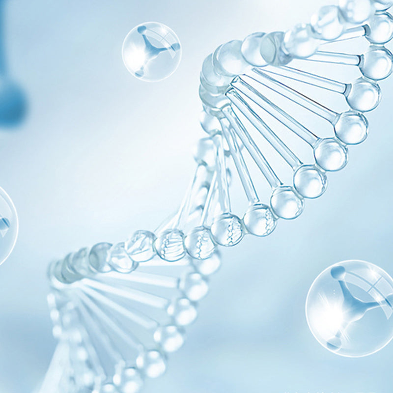 GermFree Light – Beseitigt 99,9 % der Keime in nur 3 Minuten