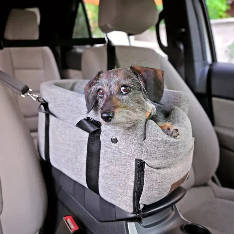 Auto-Hundesitz PetCruza | Sicher & Gepolstert | Für Kleine Hunde bis 11 kg | Einfach zu Installieren