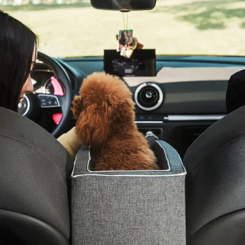Auto-Hundesitz PetCruza | Sicher & Gepolstert | Für Kleine Hunde bis 11 kg | Einfach zu Installieren