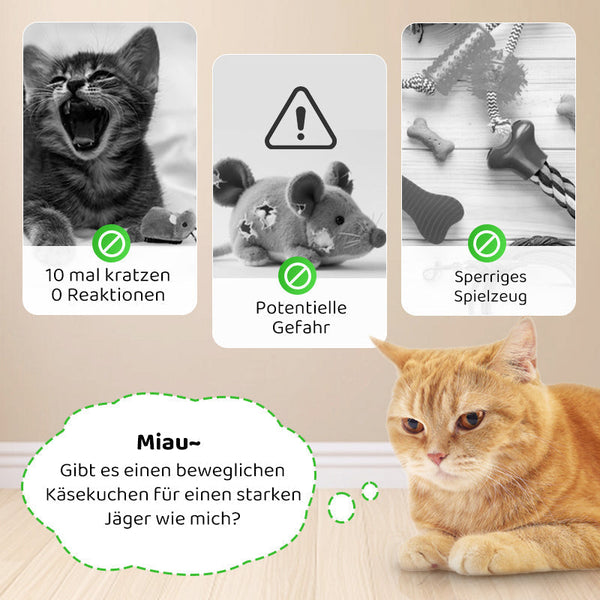 2+1 GRATIS | PawChase – Jagen, spielen, juchzen der Spaß für deine Katze!