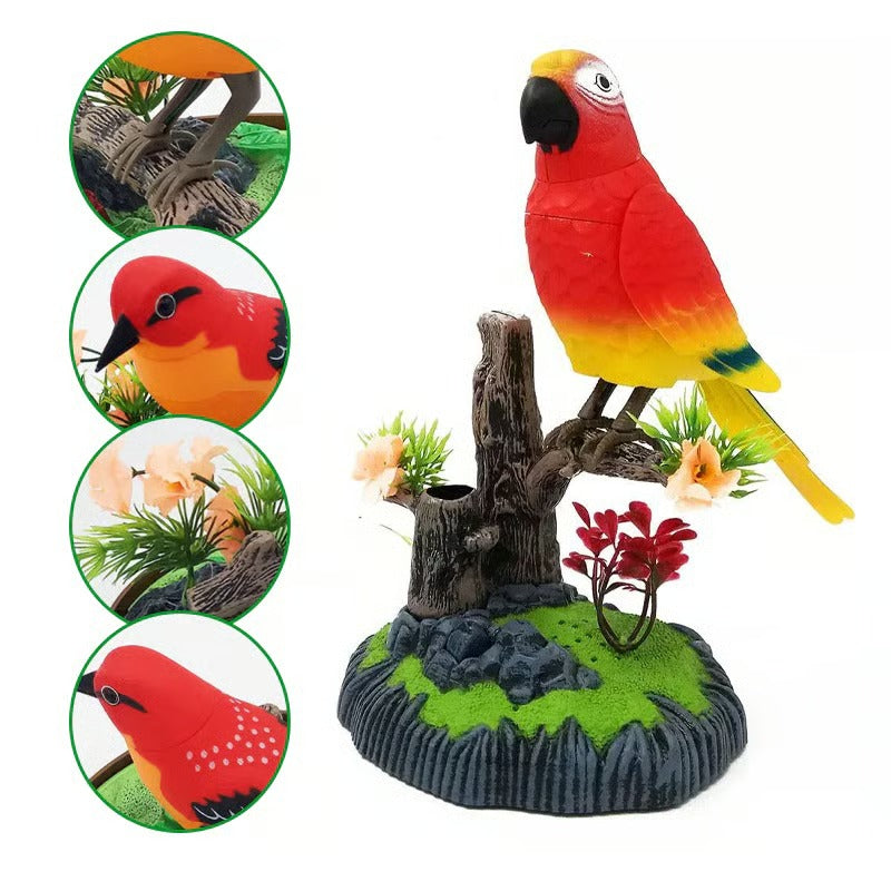 SongBird – Dein Vogelzauber für Zuhause!