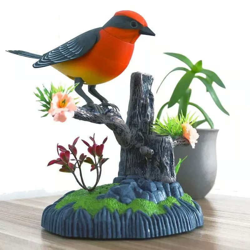 SongBird – Dein Vogelzauber für Zuhause!