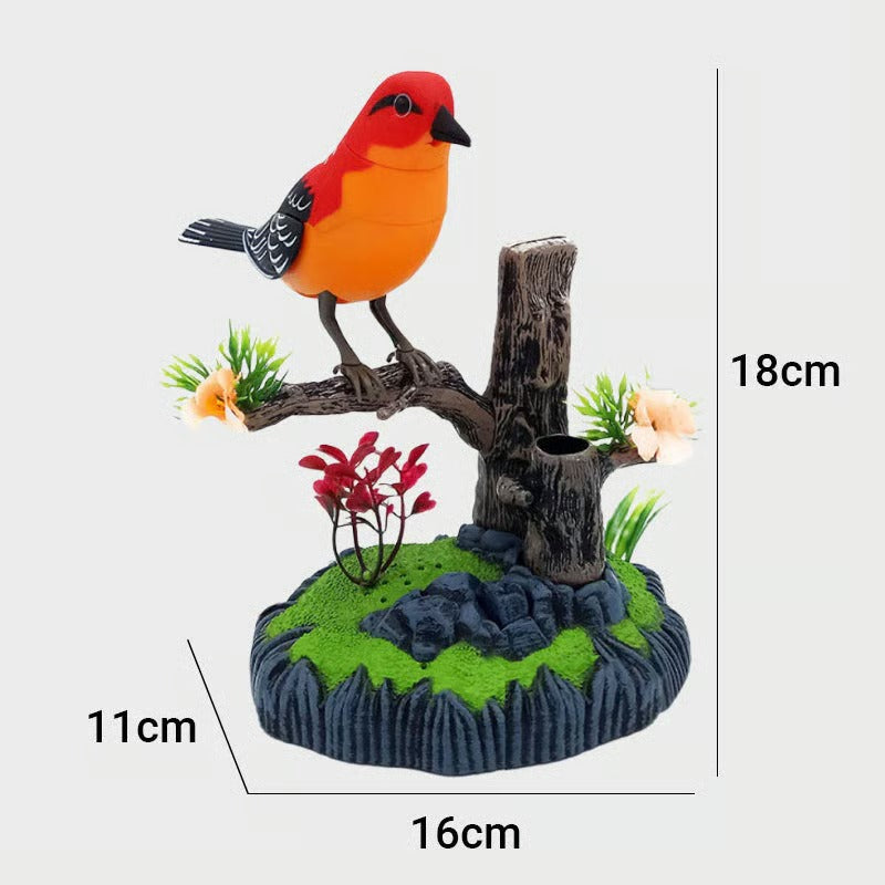 SongBird – Dein Vogelzauber für Zuhause!