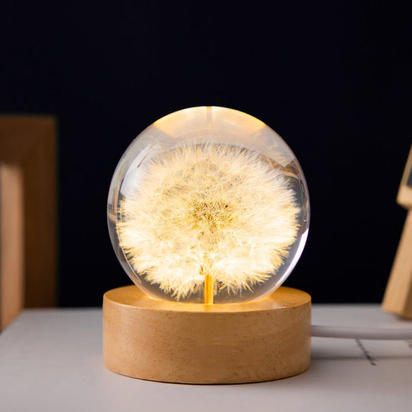 Floralis Kristallkugel-Lampe | 3D-Blütendesign | Löwenzahn & Gänseblümchen | USB-Holzsockel
