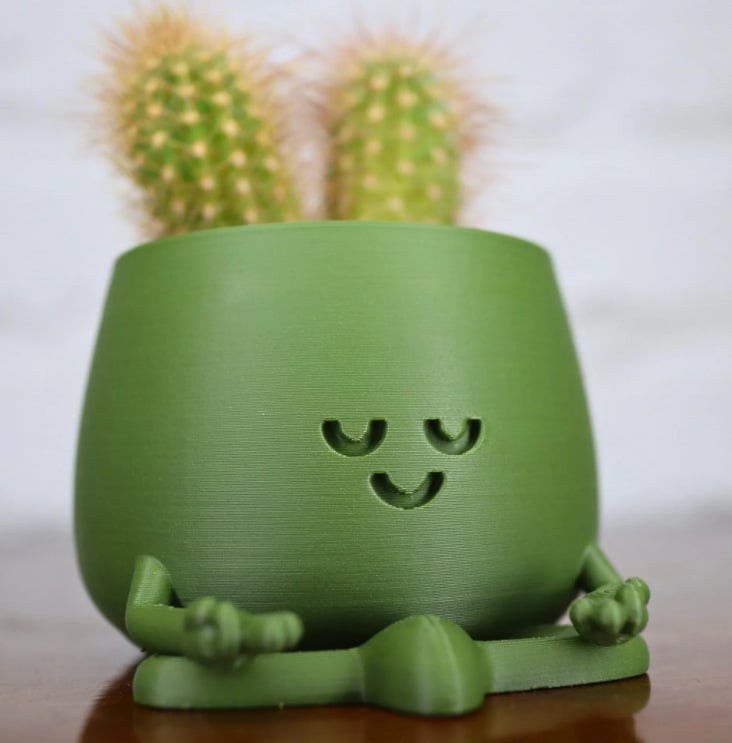 BloomBuddy – Glückliche Pflanzen, fröhliches Zuhause