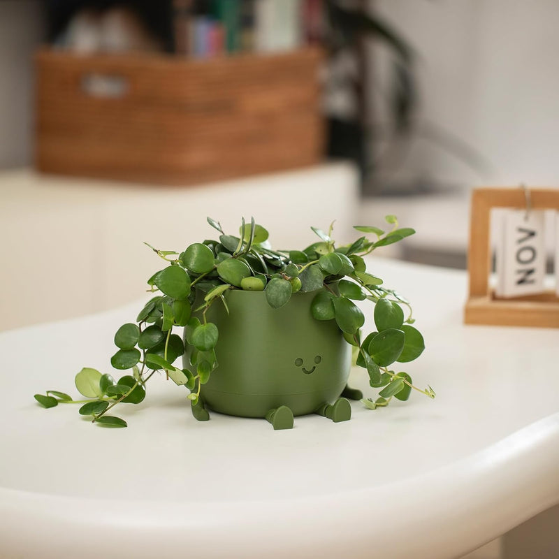 BloomBuddy – Glückliche Pflanzen, fröhliches Zuhause