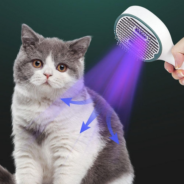 TickFreeGlow – Die smarte Bürste gegen Zecken & Schmutz!