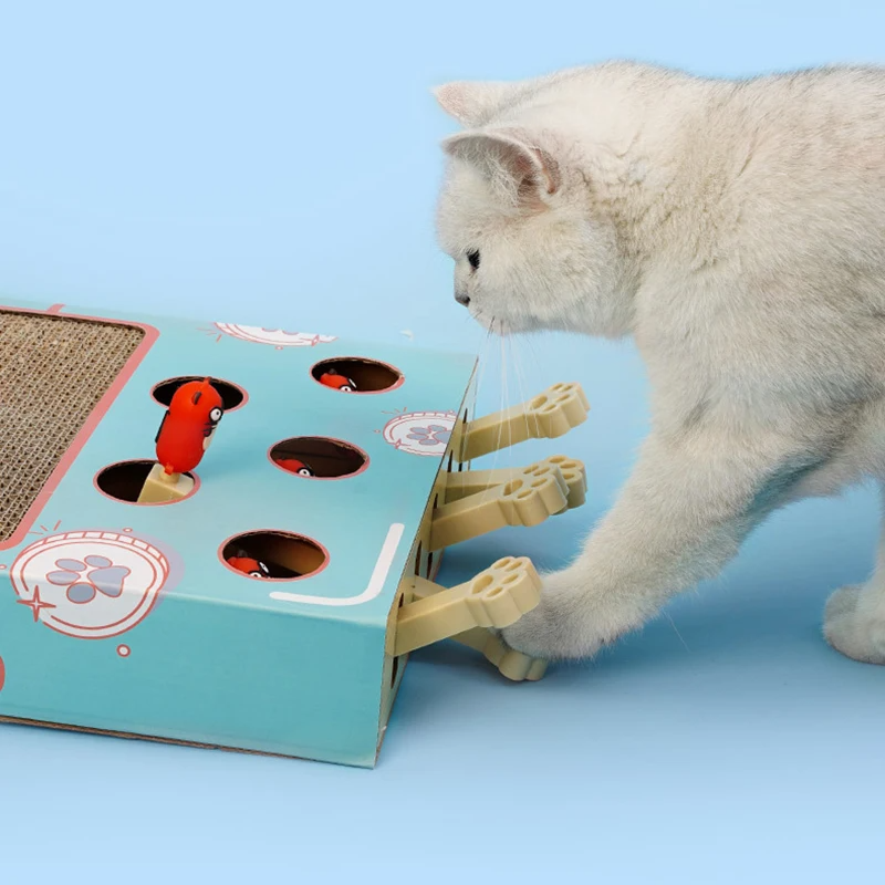 ScratchNest – Kratzen, Spielen & Chillen an einem Ort!