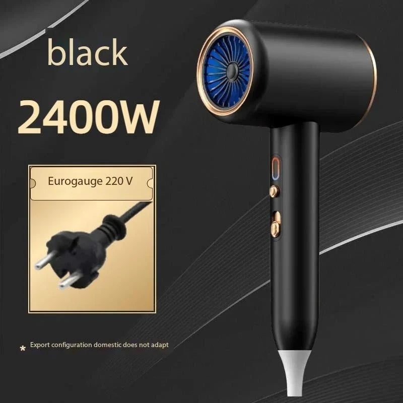 SilkDry Pro 2400 Haartrockner 2400W | Ionen-Technologie | Heiß- & Kaltluft | Leicht & Ergonomisch