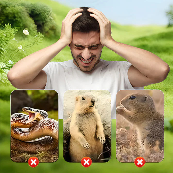 1+1 GRATIS | VibraGreen – Ruhe für Ihren Garten