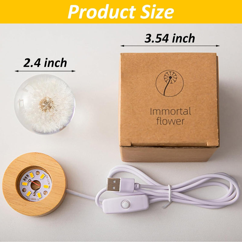 LumaBloom – Zauberhaftes Licht, das Herzen fesselt