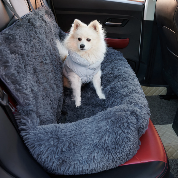 CarPaw – Ruhig und sicher mit Ihrem Hund reisen!