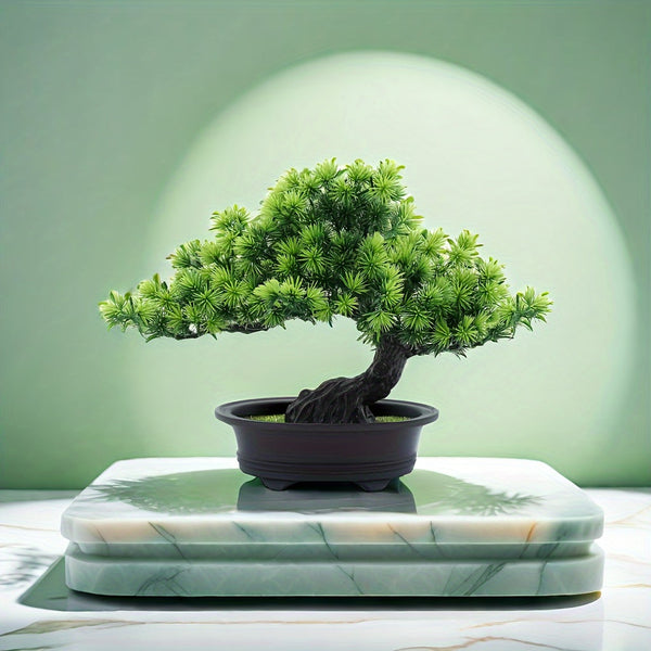 ZenFlora Bonsai | 24 cm | Immergrün & Pflegefrei | Mit Schwarzem Topf