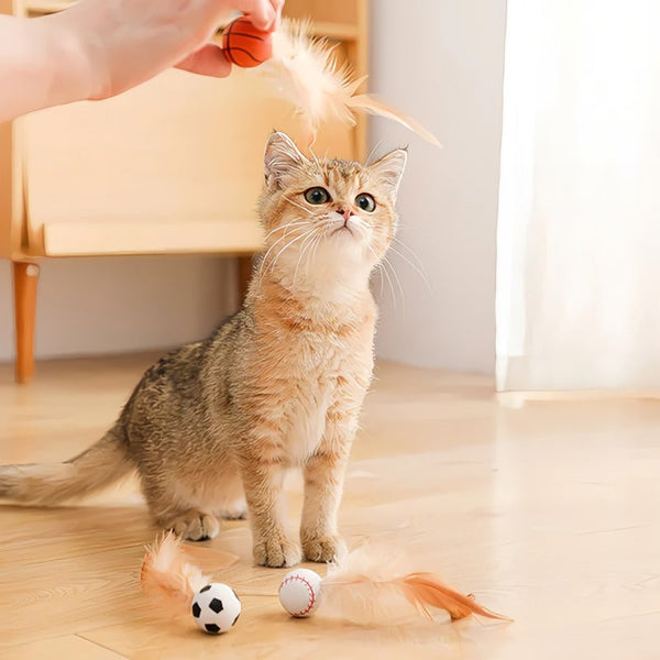 FeatherBounce – Spannender Spielspaß für energiegeladene Katzen!