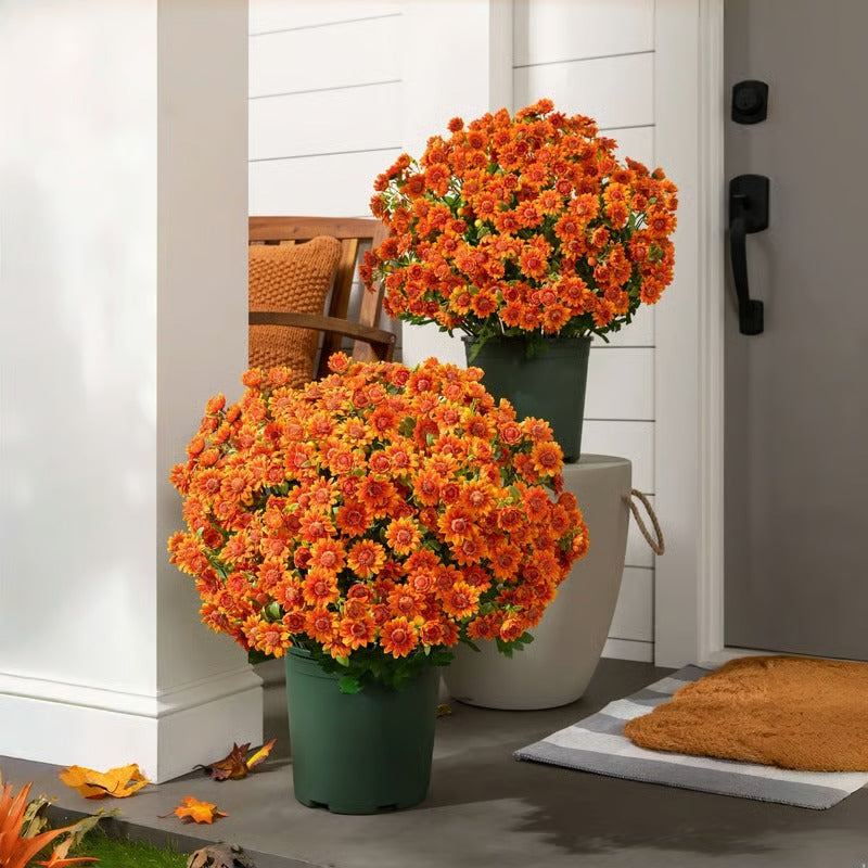AutumnBloom – Dauerhafte Herbstschönheit ganz ohne Pflege!