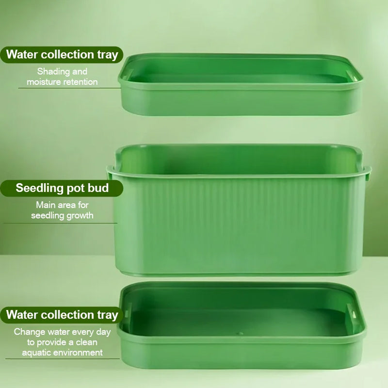 1+1 GRATIS | GreenBox – Ziehe täglich deine eigenen frischen Sprossen groß