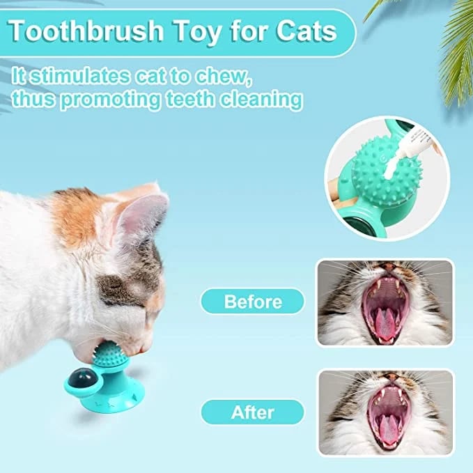 SpinPaw – Endloser Spielspaß & Bewegung für Ihre Katze!