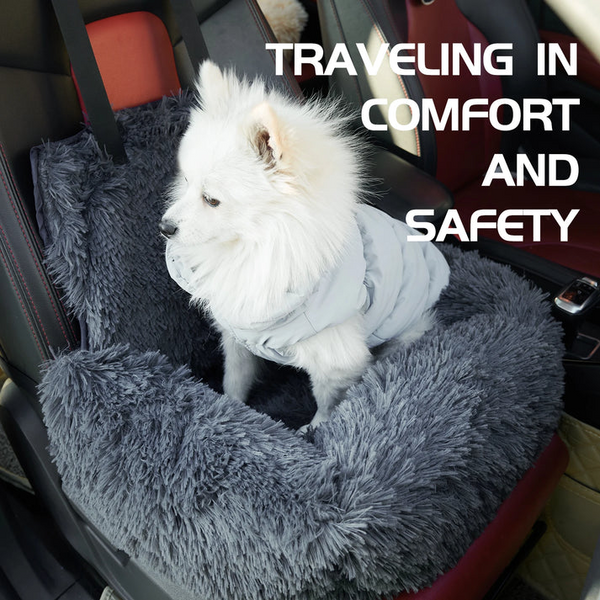 CarPaw – Ruhig und sicher mit Ihrem Hund reisen!