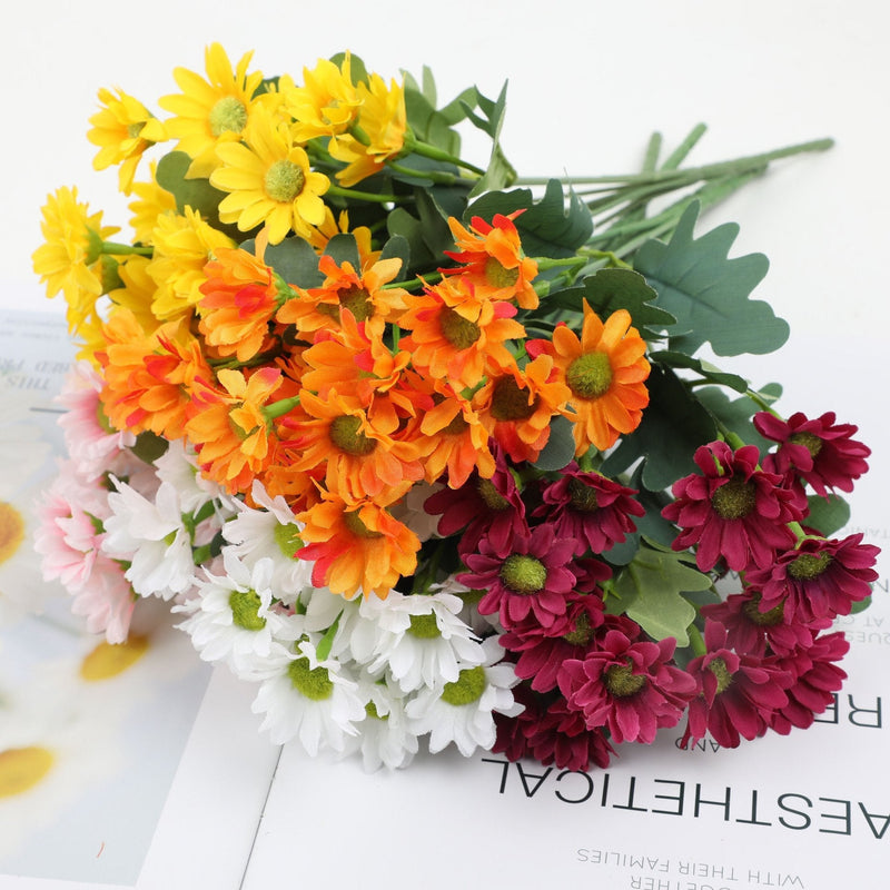 2+1 GRATIS | BloomoraSunset – Zeitlose herbstliche Pracht