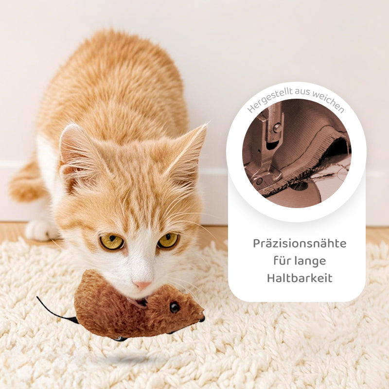 2+1 GRATIS | CatPlay – Jagen, spielen und anfeuern – endloser Spaß für Ihre Katze