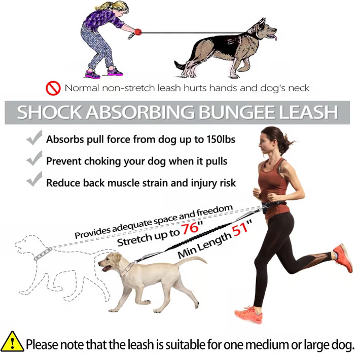 PawsFree Pro – Genieße stressfreie Spaziergänge mit deinem Hund