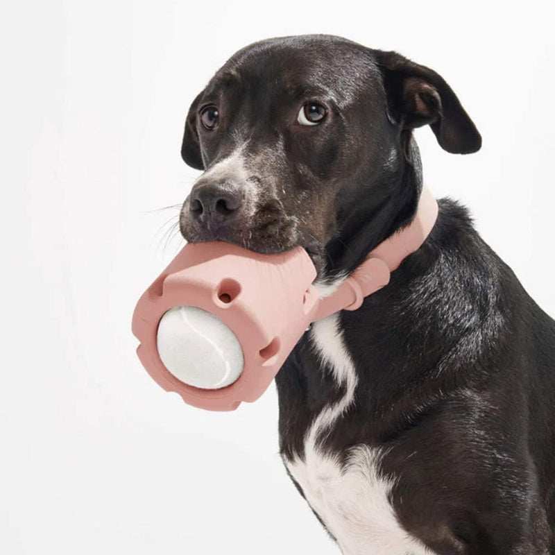 ChewJoy Pro – Gesunde Zähne, glücklicher Hund