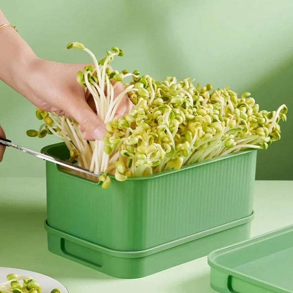 1+1 GRATIS | GreenBox – Ziehe täglich deine eigenen frischen Sprossen groß