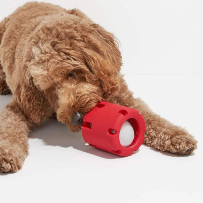 ChewJoy Pro – Gesunde Zähne, glücklicher Hund