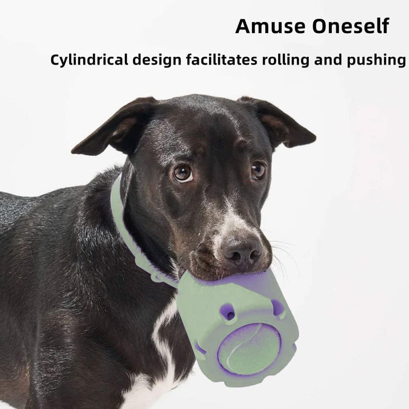 ChewJoy Pro – Gesunde Zähne, glücklicher Hund