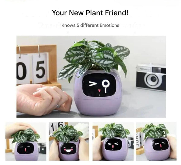 PflanzenFreund SmartPot | Intelligenter Blumentopf mit automatischer Bewässerung | App-Steuerung & Emoji-Feedback