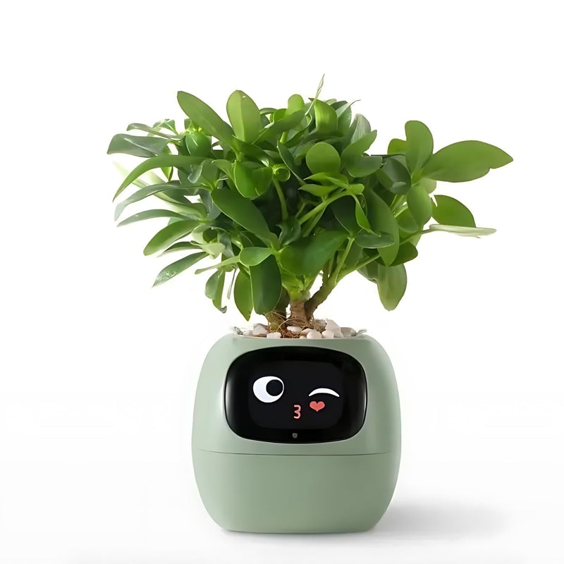 PflanzenFreund SmartPot | Intelligenter Blumentopf mit automatischer Bewässerung | App-Steuerung & Emoji-Feedback